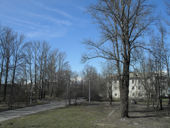 Витебская Сортировочная улица)